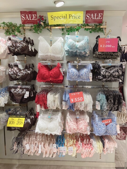 エレガントコレクション  再値引き！