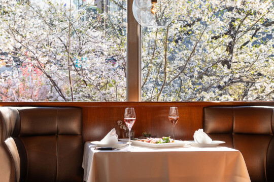 「春の桜宴」コース