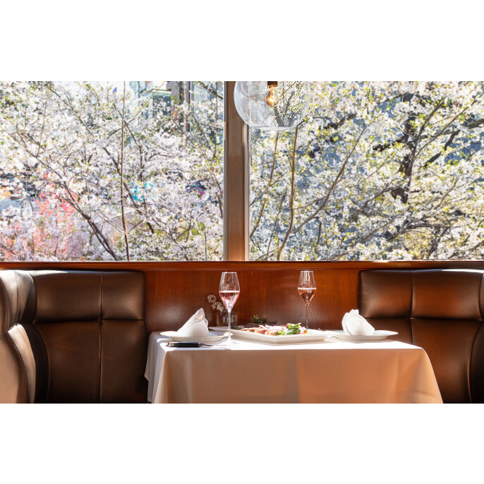 「春の桜宴」コース