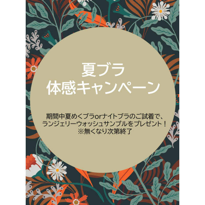 夏ブラ体験キャンペーン
