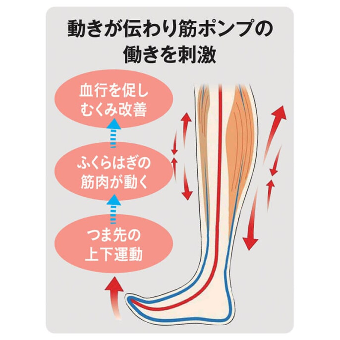 一般医療機器 弾性ストッキング むくみ対策靴下