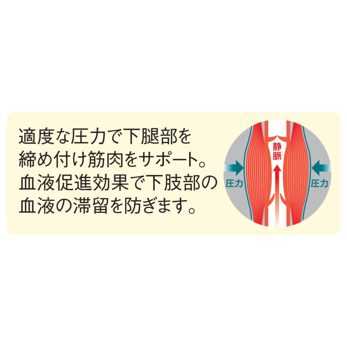 ムクナイトふくらはぎカカト付きサポーター